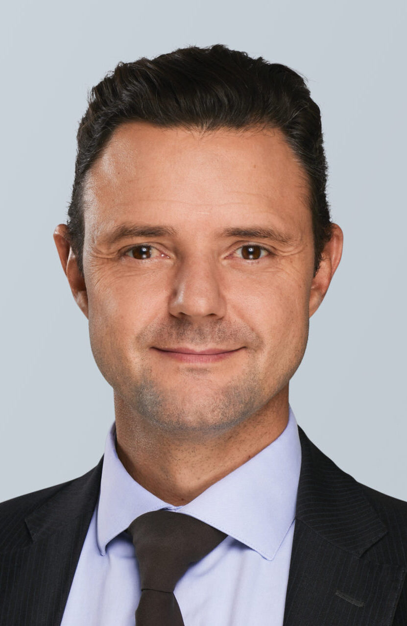Competence Mikael de Rham