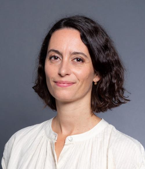Competence Professeure Angèle Gayet-Ageron